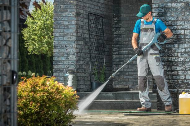 Best Roof Washing  in Geneseo, IL