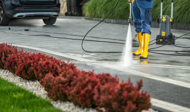 Best Parking Lot and Garage Cleaning  in Geneseo, IL